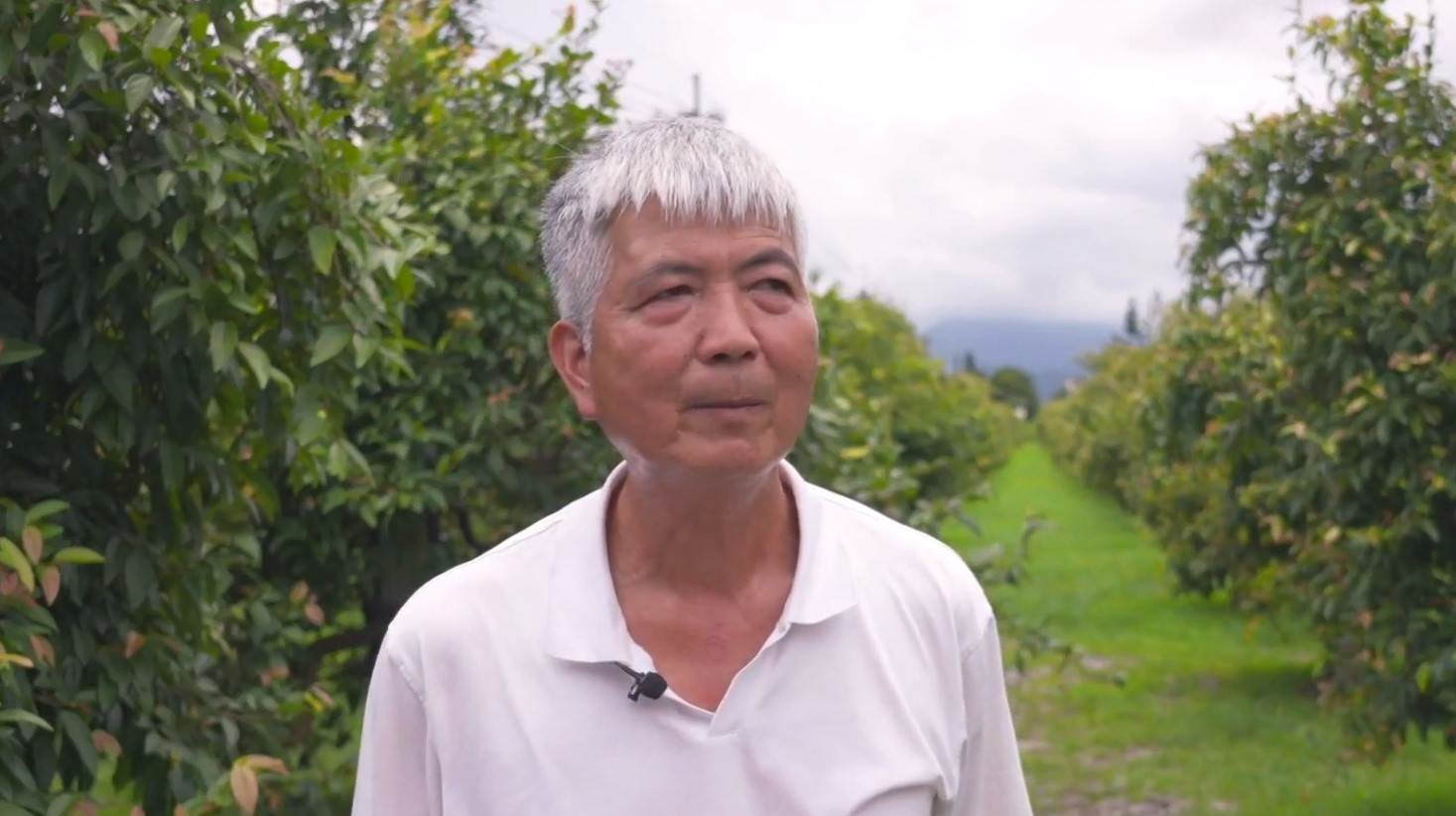 #1_Channel 3---2025_08_26---19_30_42---H264  8 bit---205---split011.mp4_snapshot_06.02.430