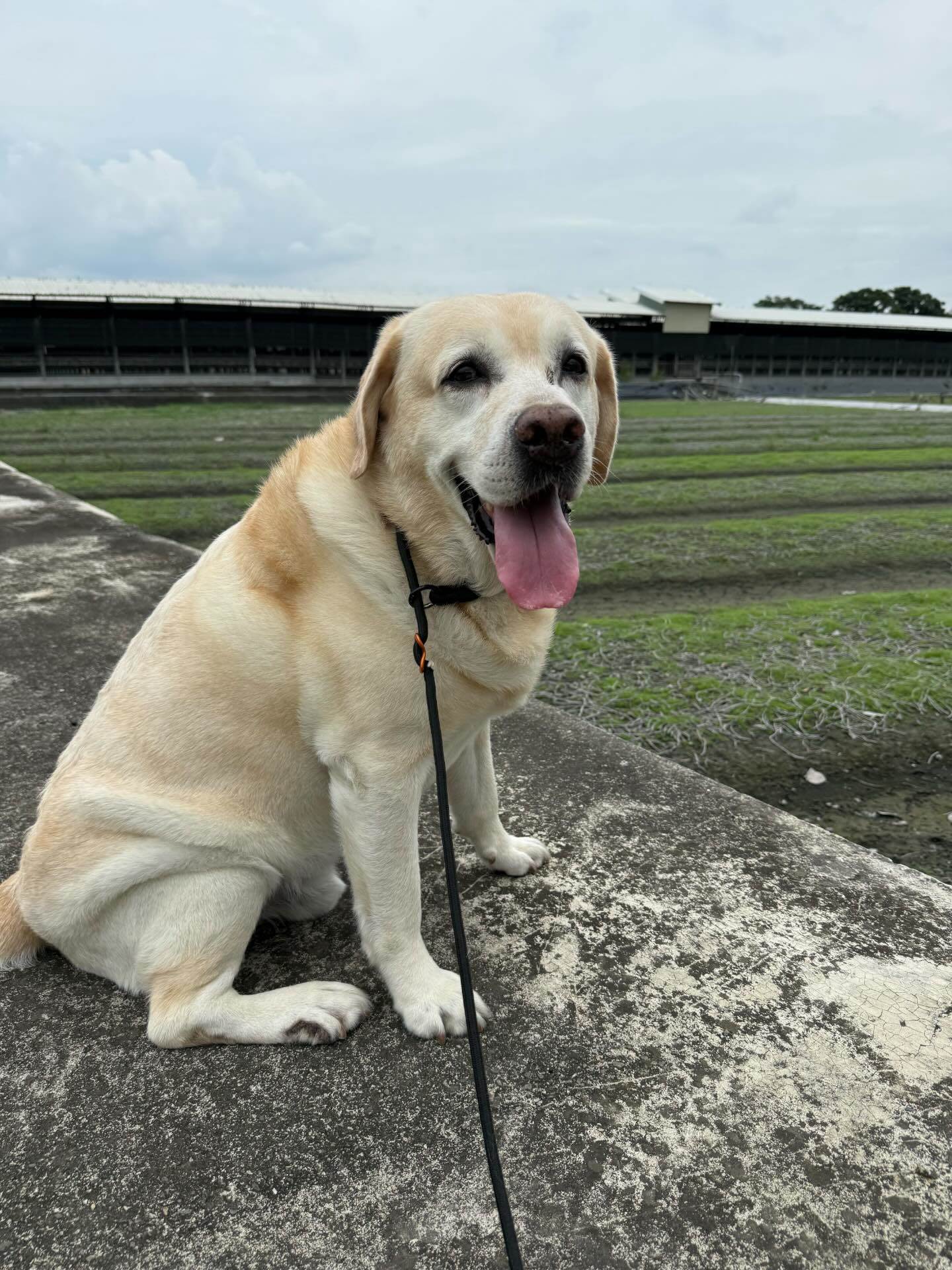 538694474_17908737552207832_9125139268998363527_n