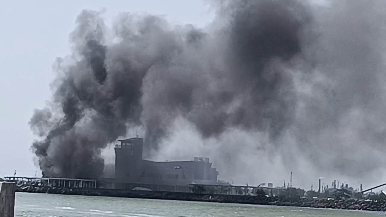 25f9d2f3-2433-4fb0-b266-0f87c3bd2aa8.mp4_snapshot_00.01.572