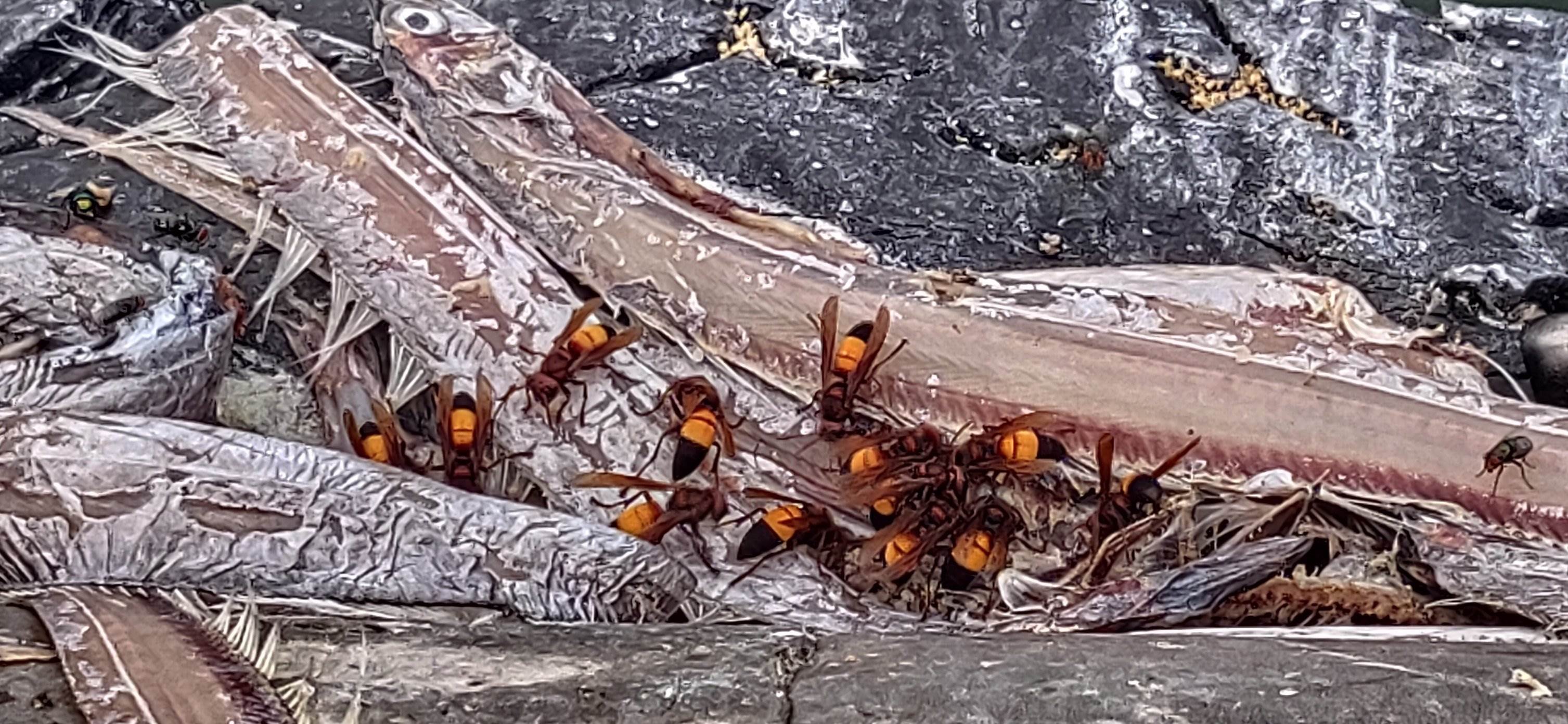 539915469_31902953785958528_5713545366917713263_n