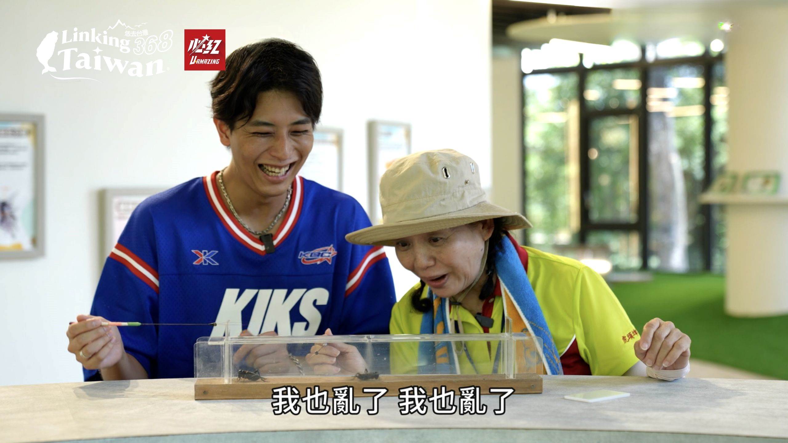 鬥蟋蟀最早可追溯至唐朝，飼主將蟋蟀放入長形箱裡，用貓鬚做成的「逗弄棒」觸之，以激發其鬥志。（圖／Linking 368 Taiwan恁去台灣提供）