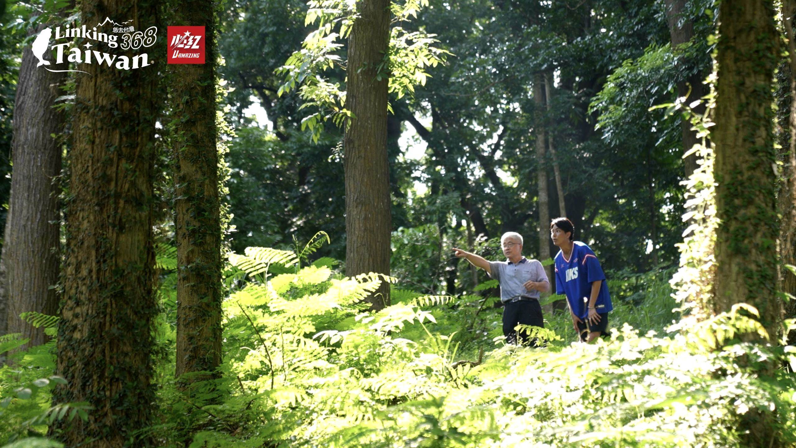 新化林場也設有三條難易不同的森林浴步道，適合全齡健行，是結合自然教育、冒險體驗與生態保育的最佳場域。（圖／Linking 368 Taiwan恁去台灣提供）
