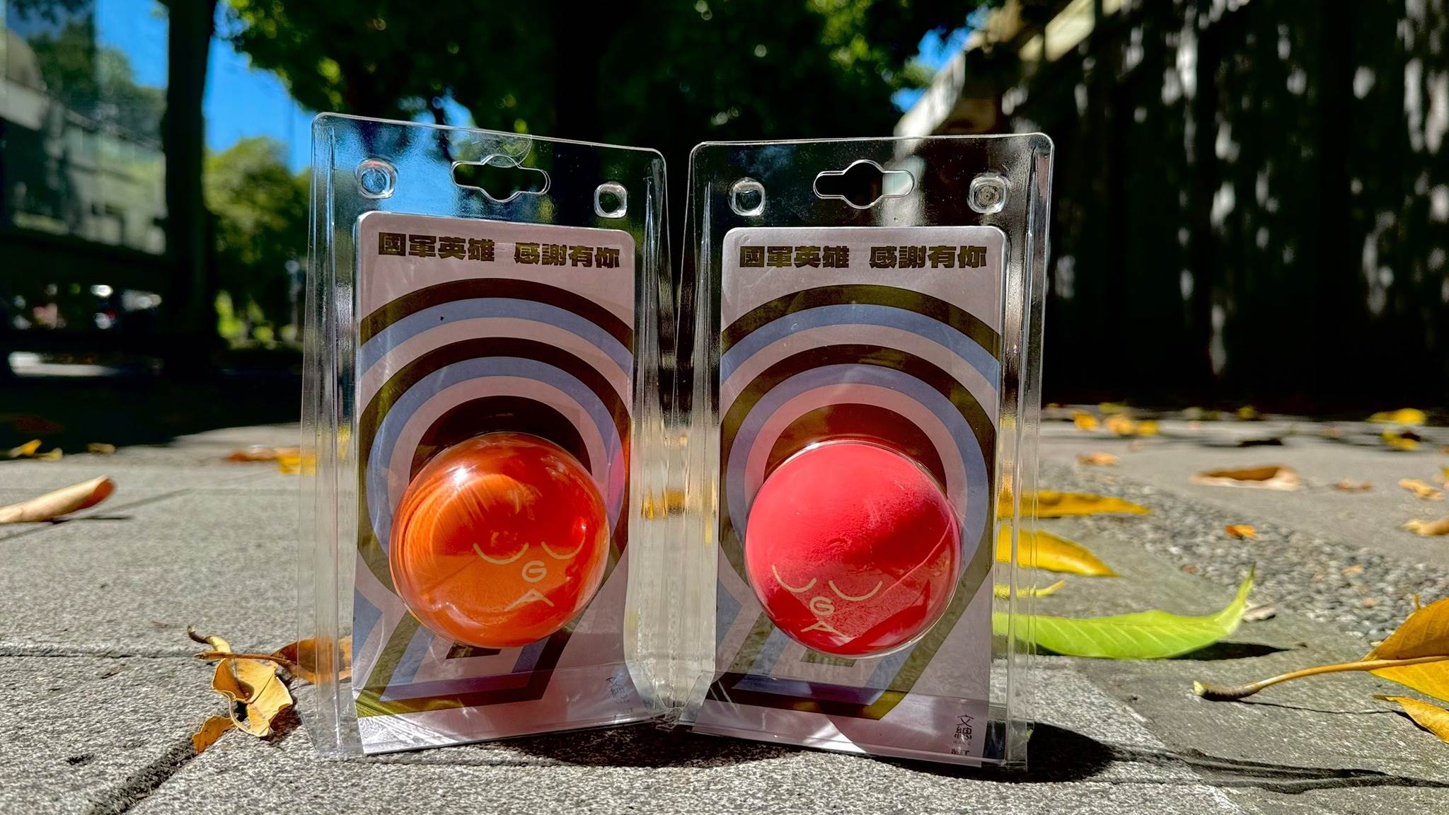 國軍限定舒壓求＿文總提供