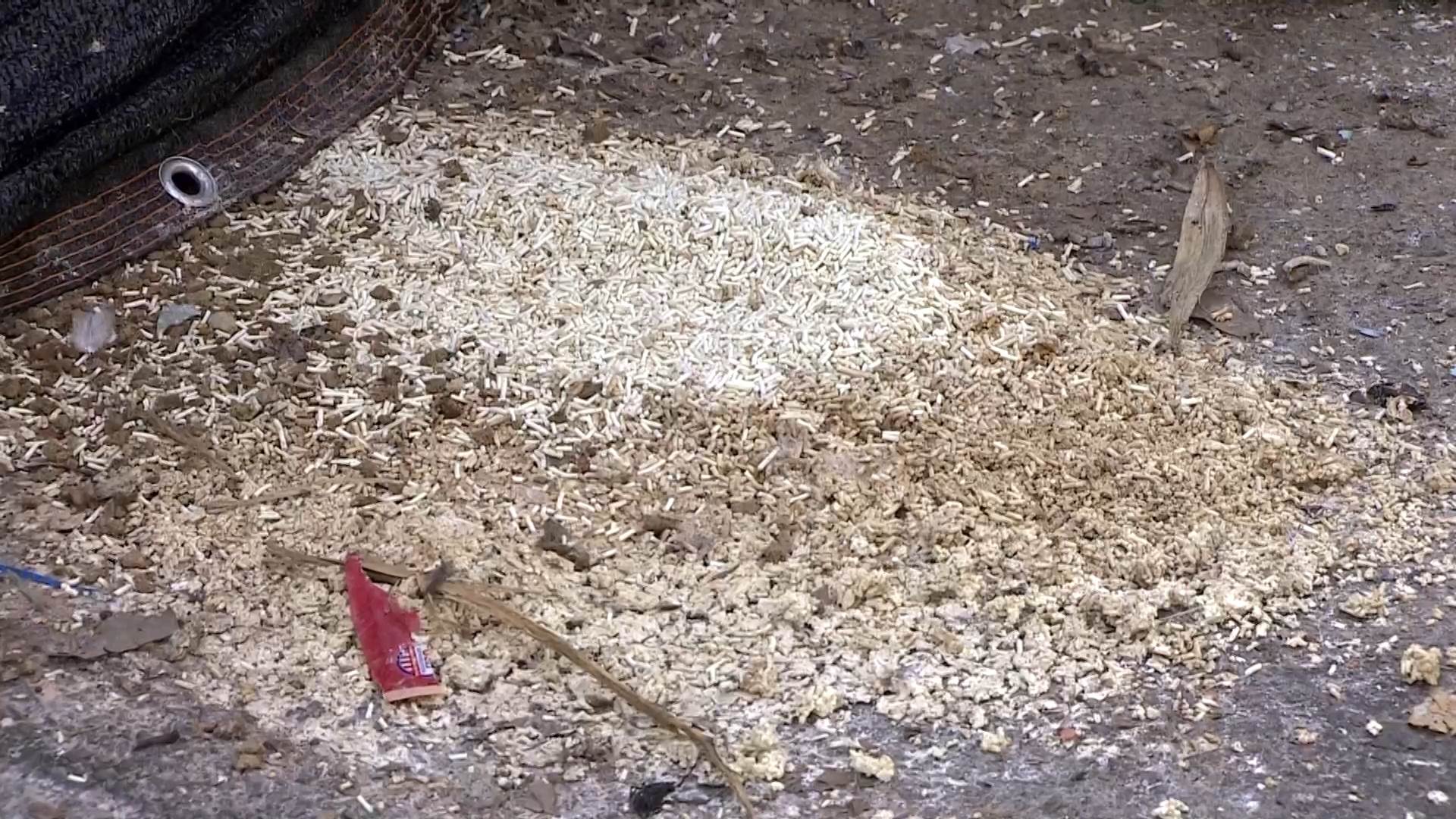 #1_Channel 3---2025_09_03---18_20_40---H264  8 bit---212---split004.mp4_snapshot_08.07.544