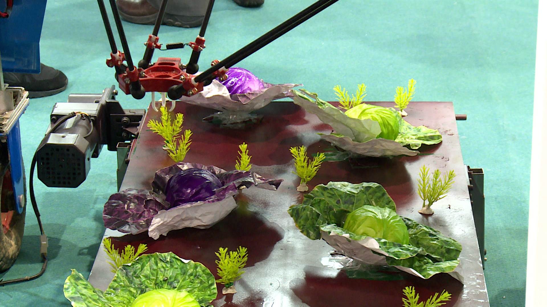 新聞跨螢2024_數位專案.00_00_01_09.Still018