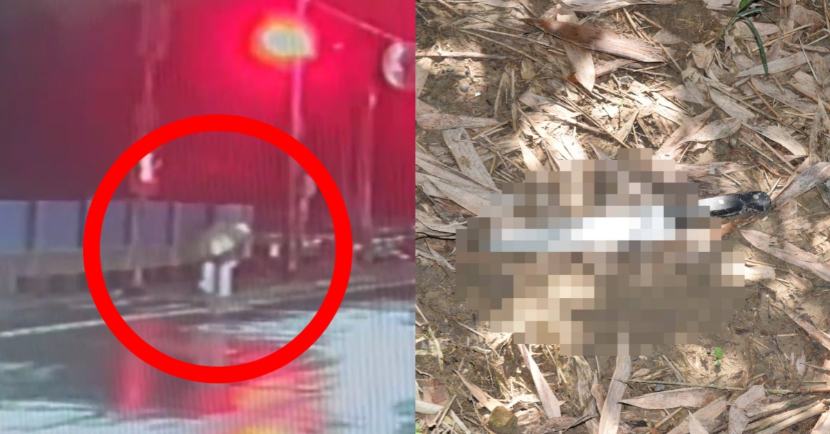 台中一名41歲的李姓男子住院期間擅自外出，與移工發生衝突，遭對方亂刀砍死。（圖／東森新聞）