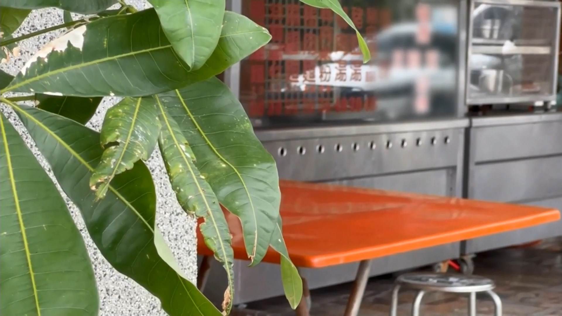 #1_Channel 3---2025_09_18---13_10_40---H264  8 bit---208---split009.mp4_snapshot_06.23.401