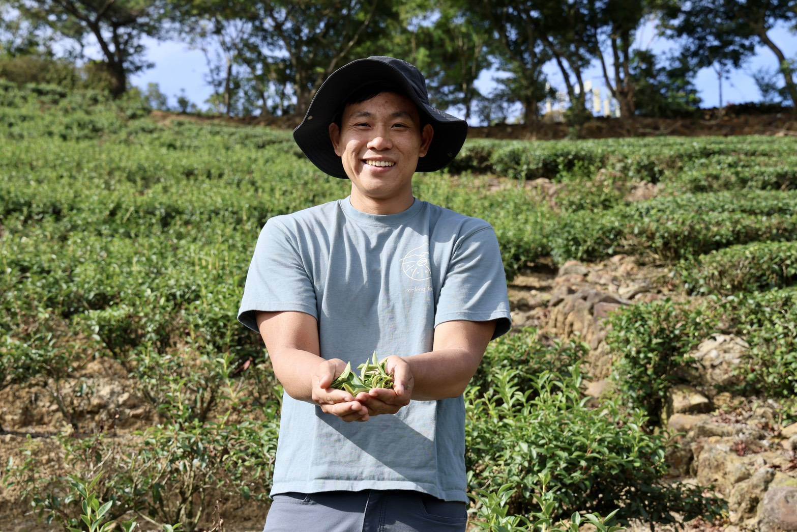 5_「有種茶」理事主席詹承得作為「新峯友茶」第五代主理人，帶領遊客於自家茶園親手採摘茶葉。