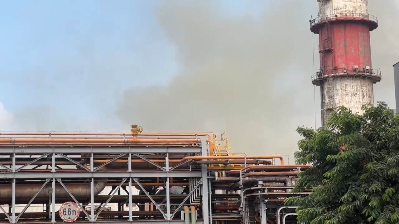 780116369.013077.mp4_snapshot_00.00.566