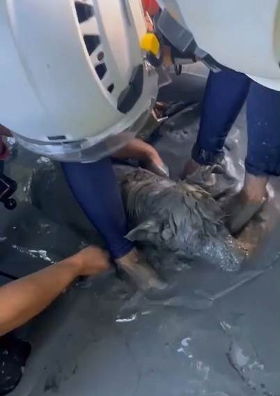 fe163959-1dfe-4322-b592-face671a8d3f.mp4_snapshot_00.42.666