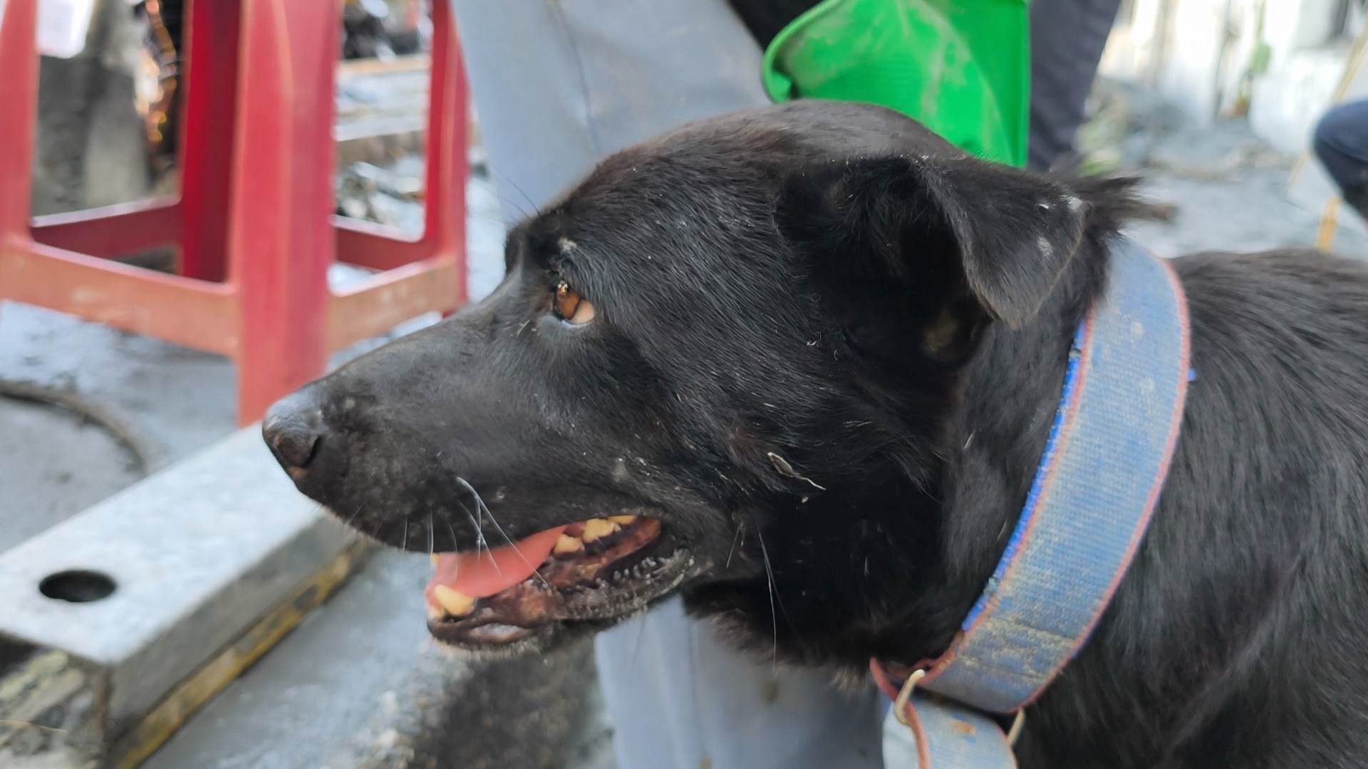 VID_20250927_100438.mp4_snapshot_00.00.752