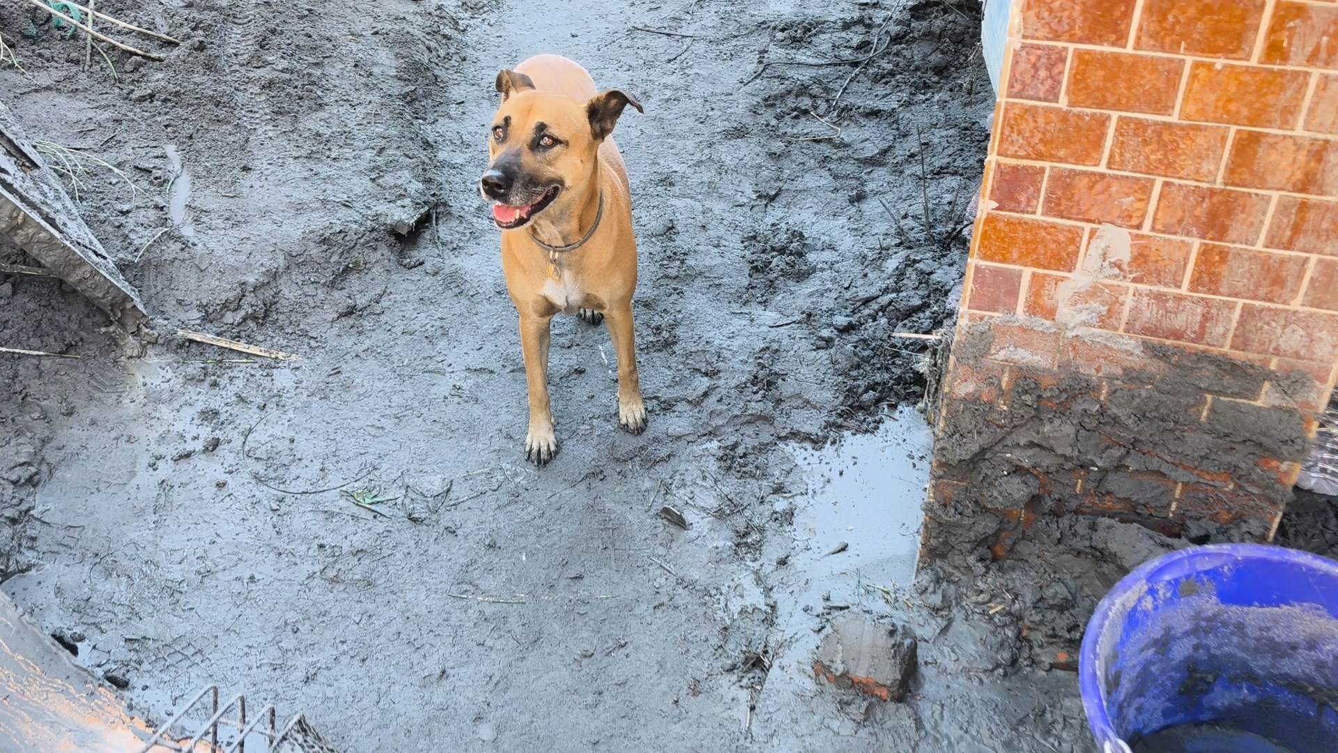 VID_20250927_100358.mp4_snapshot_00.01.472