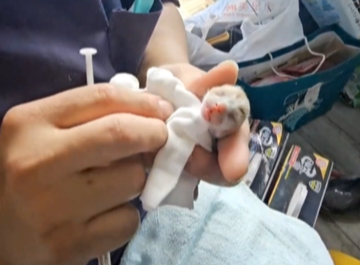 註解 2025-09-28 153828