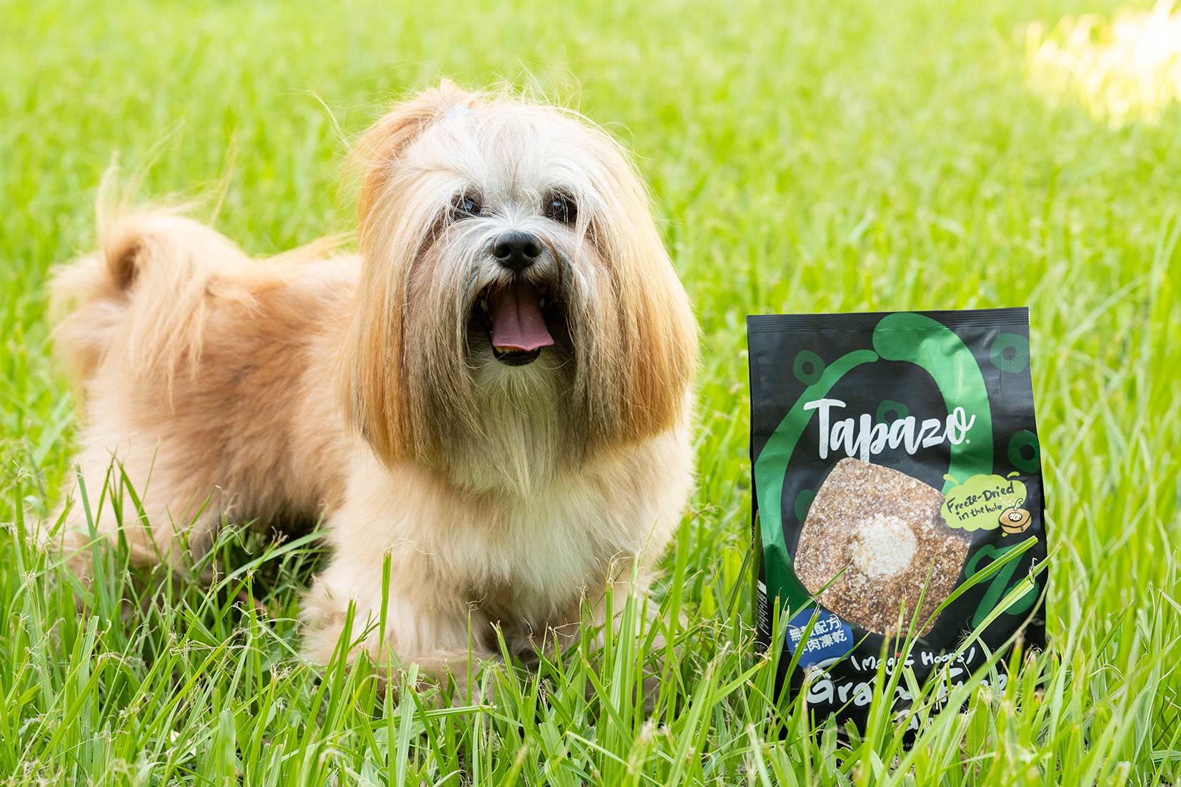 毛孩挑食的日常也有解方。（圖／攝影Leon Hung）