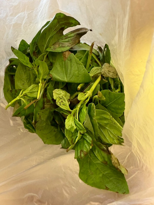 0593efde-65dc-44d4-a812-2c91bd780362