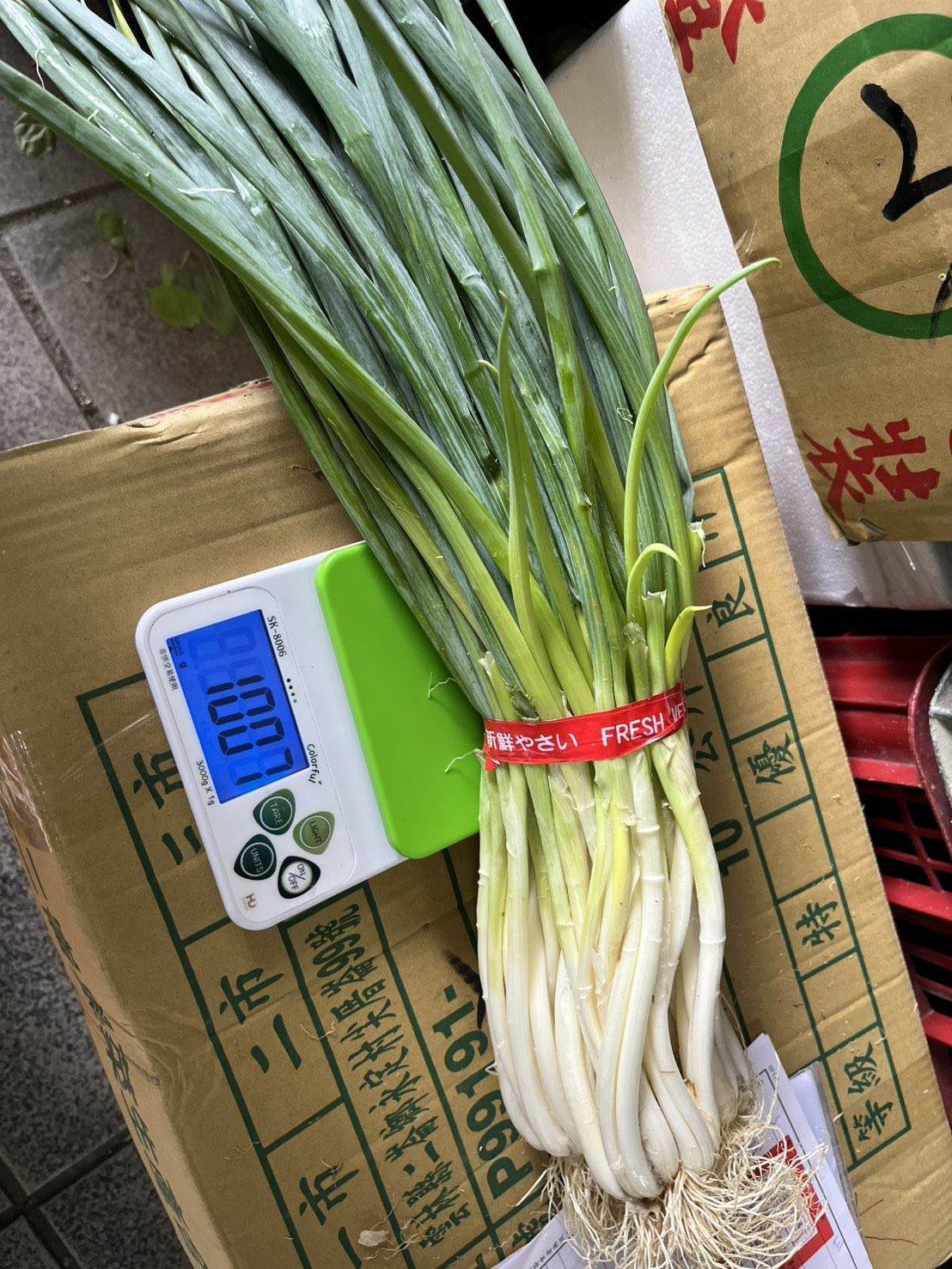 ea1bb51f-6558-421b-b384-5f251be21f6e