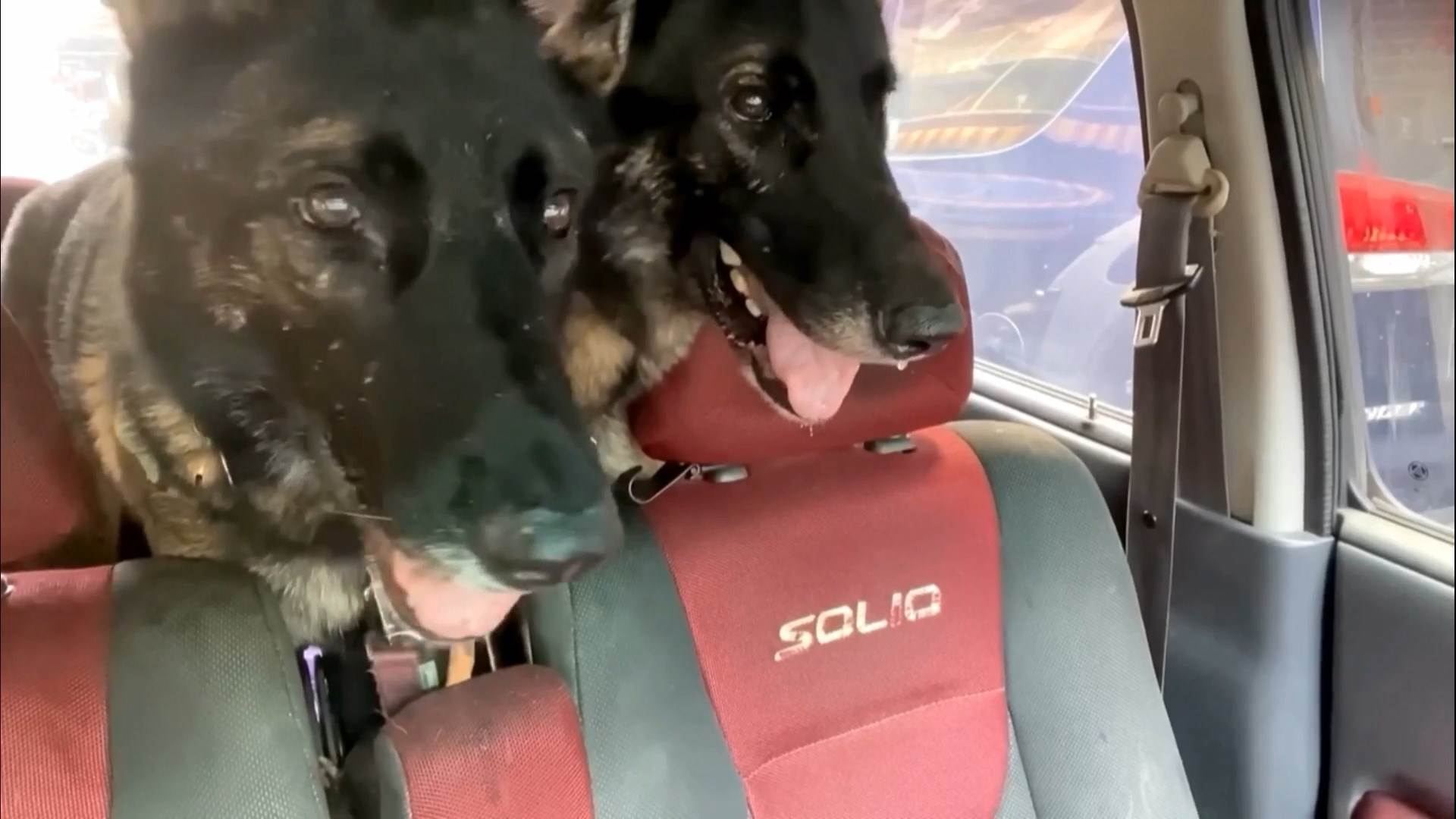 #1_Channel 3---2025_10_09---18_10_40---H264  8 bit---203---split003.mp4_snapshot_04.38.607