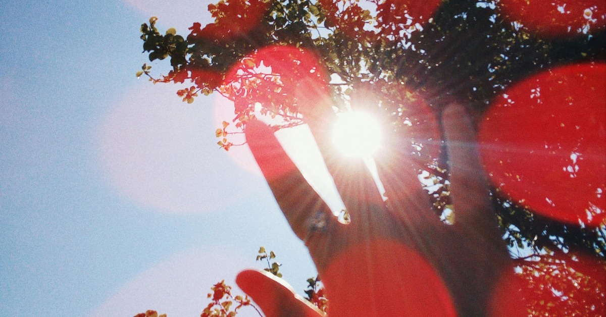 中央氣象署對全台8縣市發布高溫警報，提醒民眾慎防熱傷害。（圖／pexels）