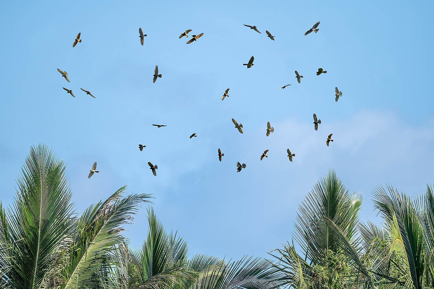 e79d1c404233cc503f099cdd230a66aa