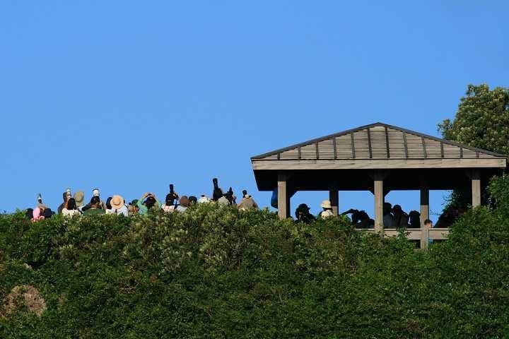 af8af51ce1b601e8f539b2a004fdb043