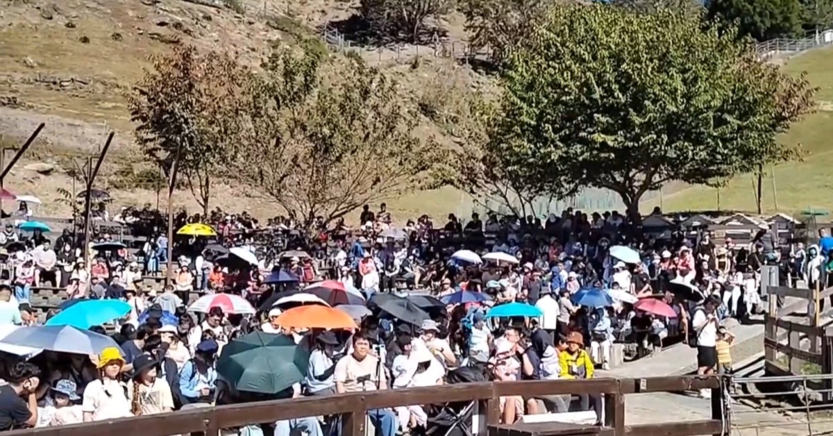 南投仁愛清境農場草坪上人山人海。（圖／東森新聞）