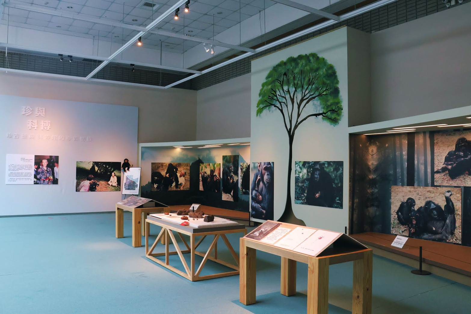 紀念微型展自即日起展出至11月2日止,展出珍古德博士親自帶來台灣的黑猩猩工具模型,上面仍可見她親筆書寫的黑猩猩名字
