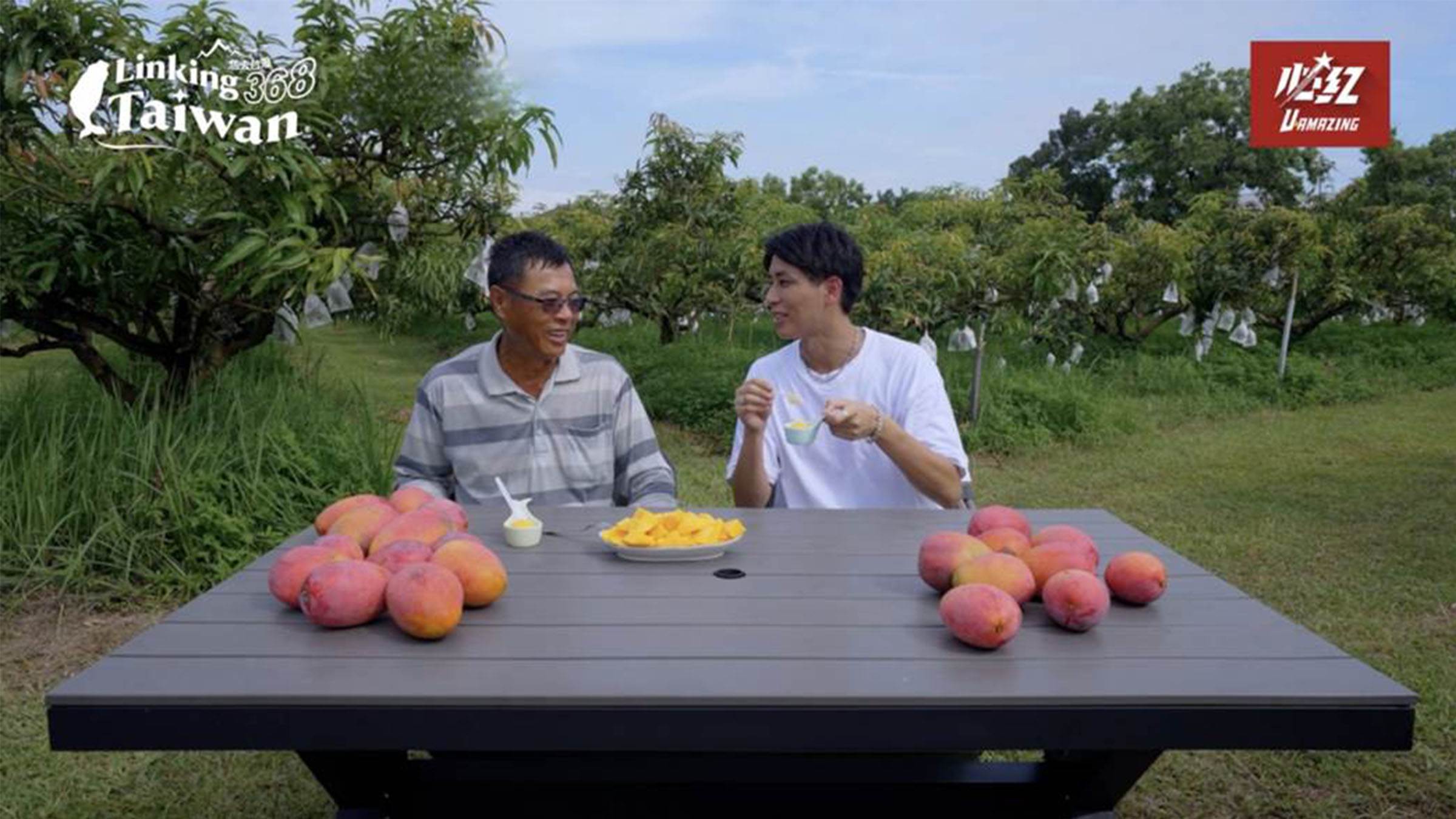 真的要親自走進芒果園，才能體會芒果的珍貴與甜美！謝謝老闆熱情招待，讓一樹吃到這麼好吃的芒果，明年一定大豐收！（圖／《Linking 368 Taiwan恁去台灣》提供）