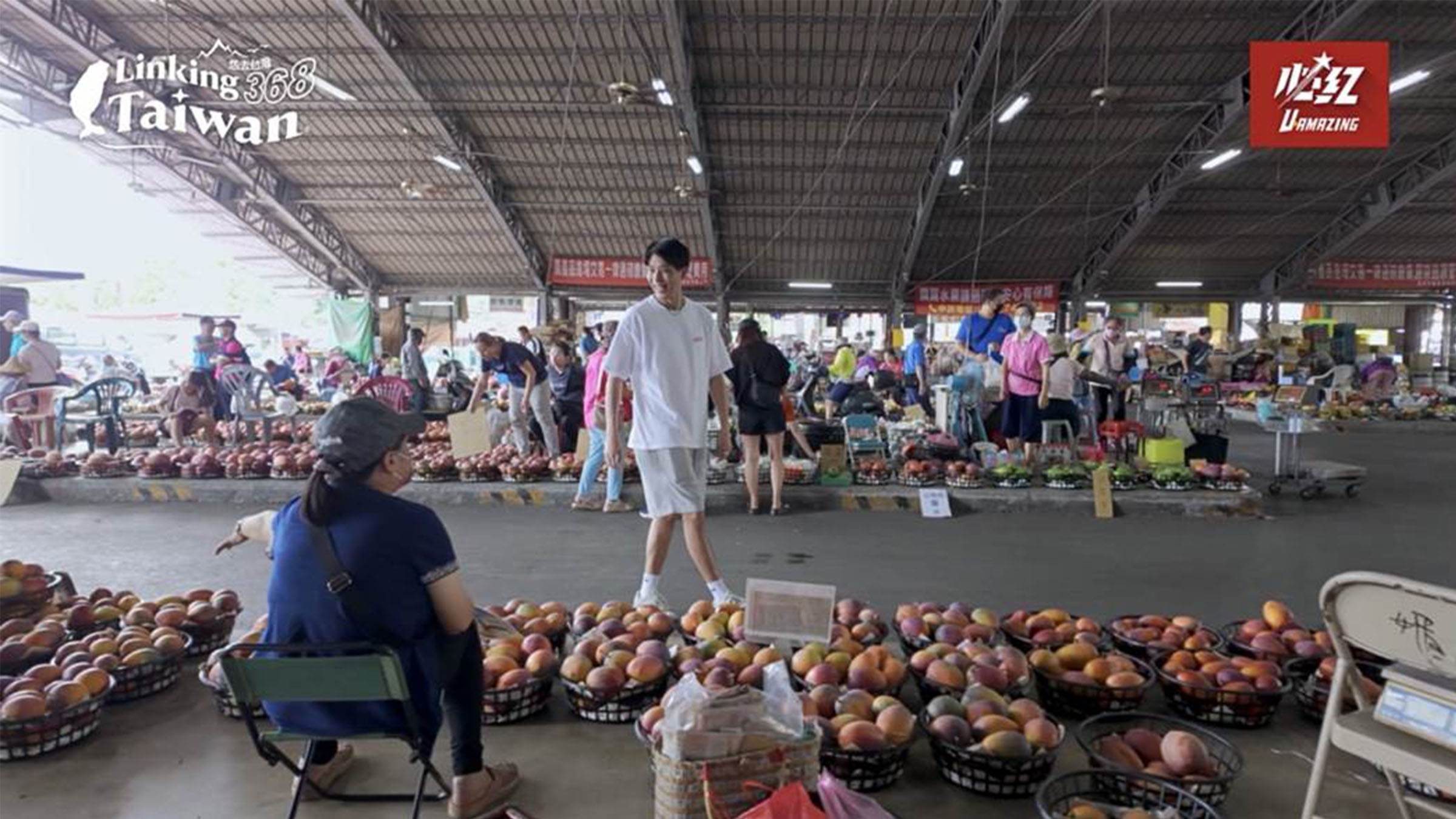 玉井，有著「芒果王國」的美名。每年夏天產量高達一萬公噸，是全臺之冠。當芒果季來臨，成山果箱在市場堆疊如牆，拍賣聲此起彼落，熱氣與果香交織，就像一場熱鬧的嘉年華會。（圖／《Linking 368 Taiwan恁去台灣》提供）