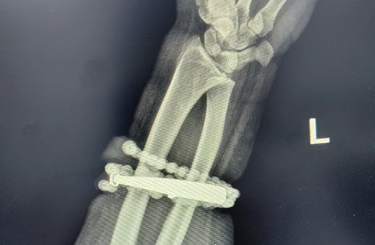 截圖 2025-11-02 下午1.33.53