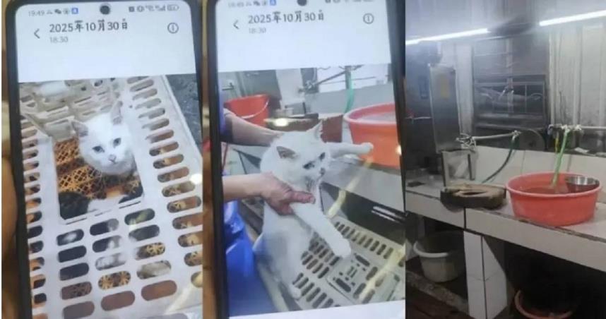 ½㶫ɽһԻèˣϢϷ贫ȫ̢𵱾ֽ飬Ŀǰͣҵ ͼ/΢/ţ