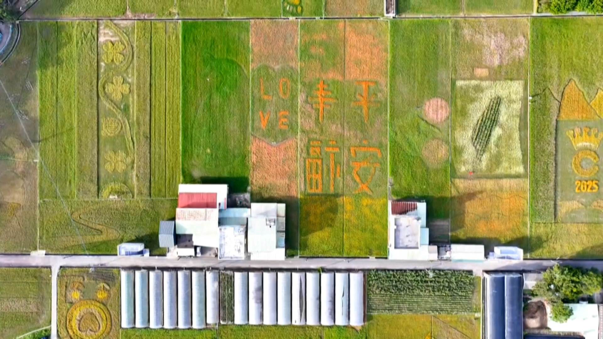 新聞跨螢2024_數位專案.00_00_10_04.Still039