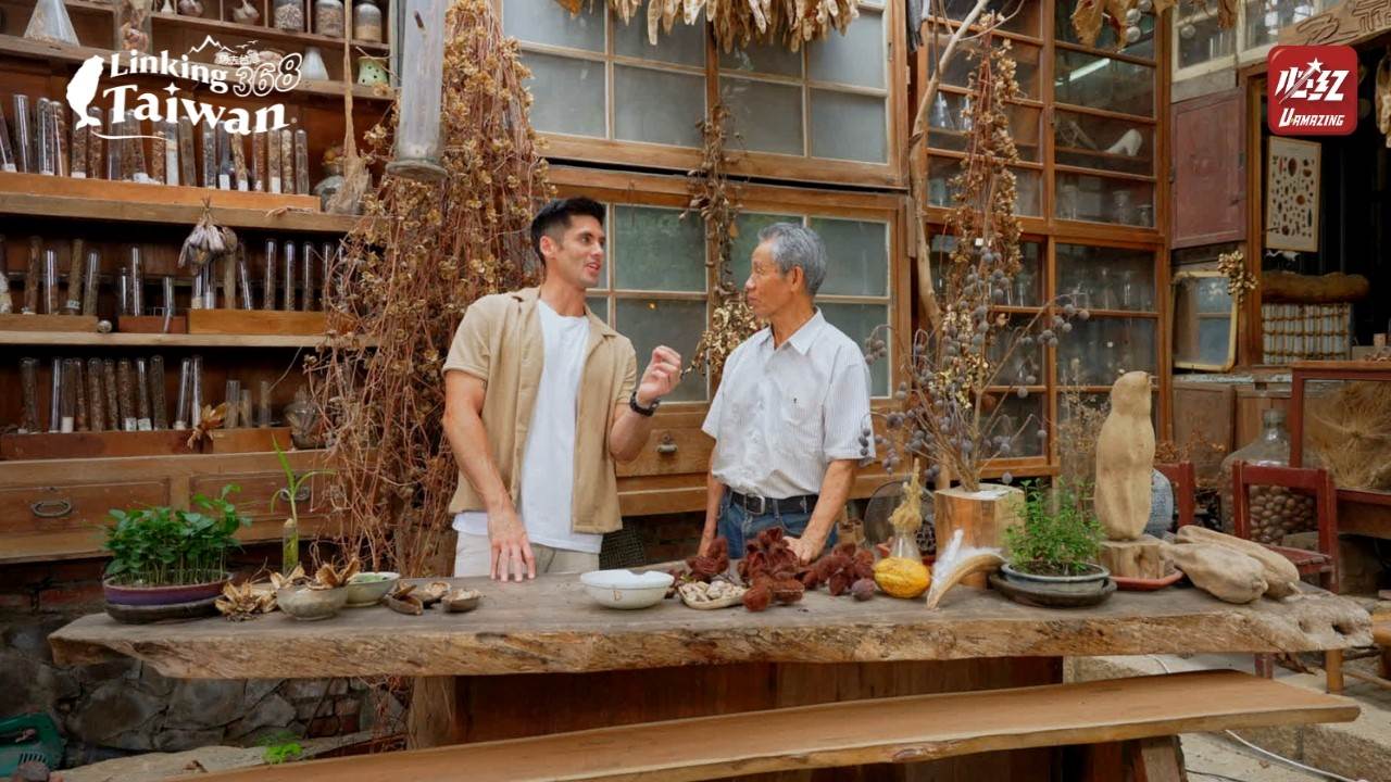 創辦人耗時多年蒐集與整理，讓遊客能近距離觀察、觸摸甚至體驗可可豆等可食種子的魅力。