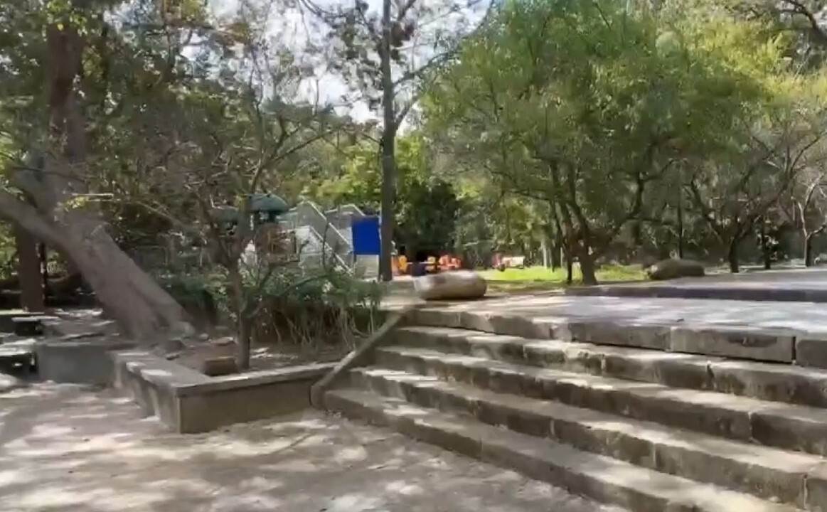 苗栗市貓裏山公園忠烈祠前廣廣場的一株梅樹下，有人發現大批的新台幣和人民幣現金。（圖／東森新聞）