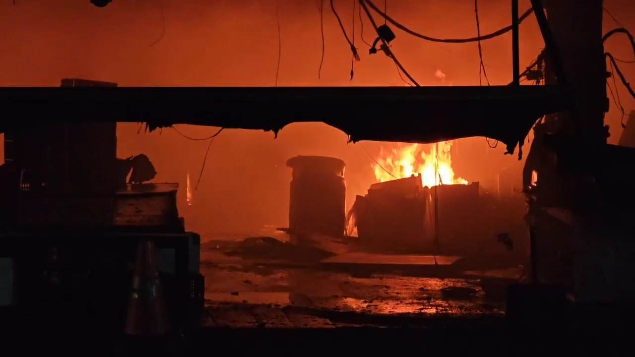 bb8cb4dd-5dc2-45fe-8d71-fca1e114c548.mp4_snapshot_00.00