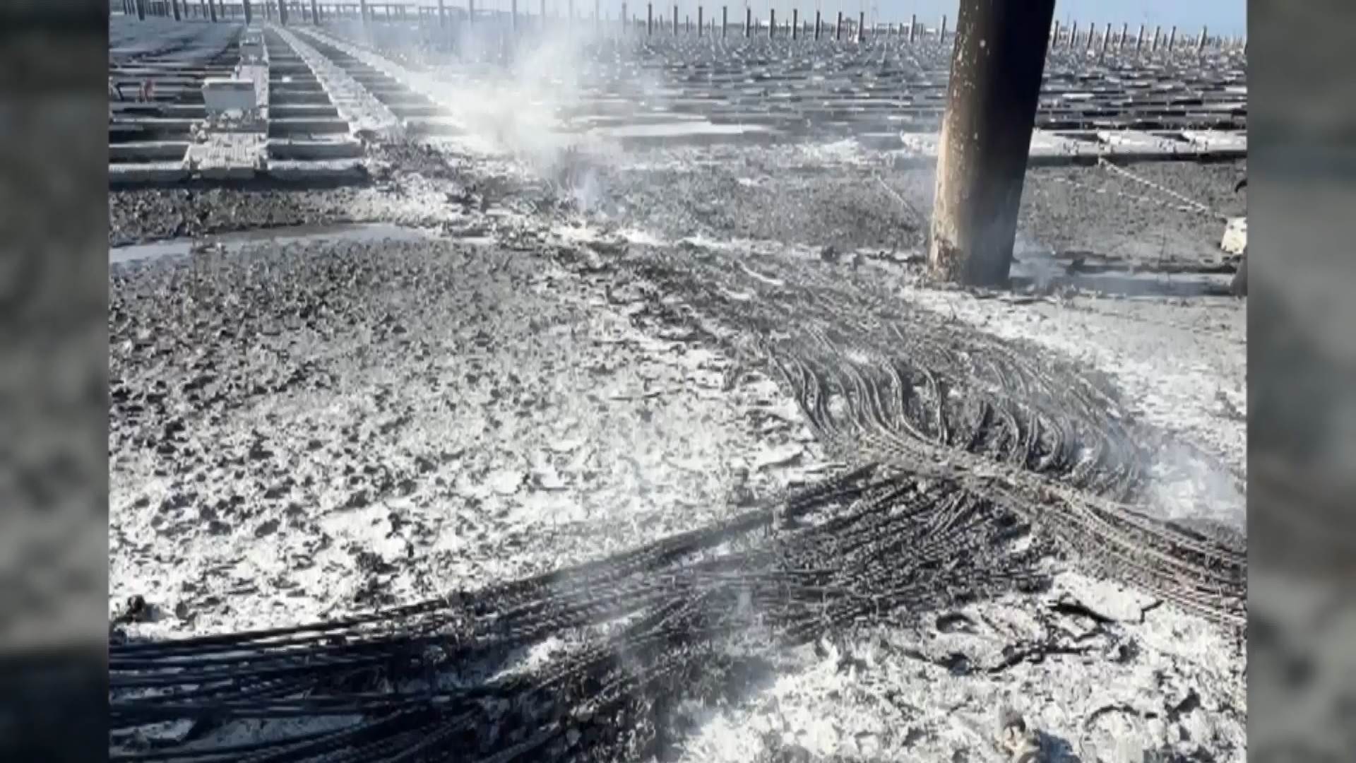 #1_Channel 3---2025_11_06---13_00_40---H264  8 bit---215---split008.mp4_snapshot_02.43.789