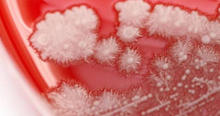 md-0ff5409f27cdf7fe9b9eedd39045dcc1