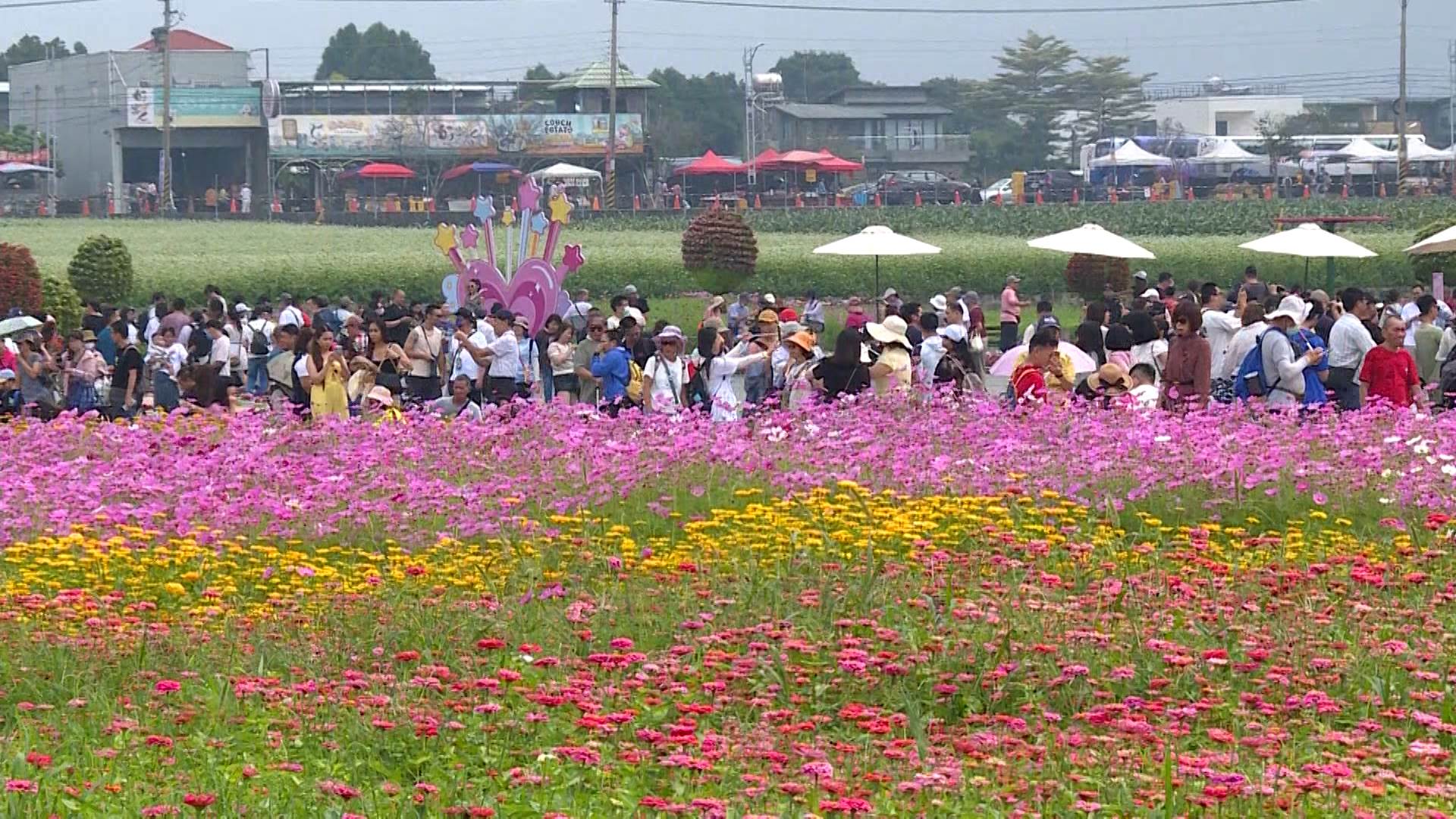 新聞跨螢2024_數位專案.00_01_10_20.Still022