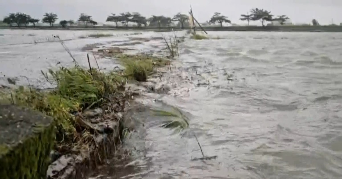 連夜強烈降雨，宜蘭壯圍的農田已經變成池塘。（圖／東森新聞）