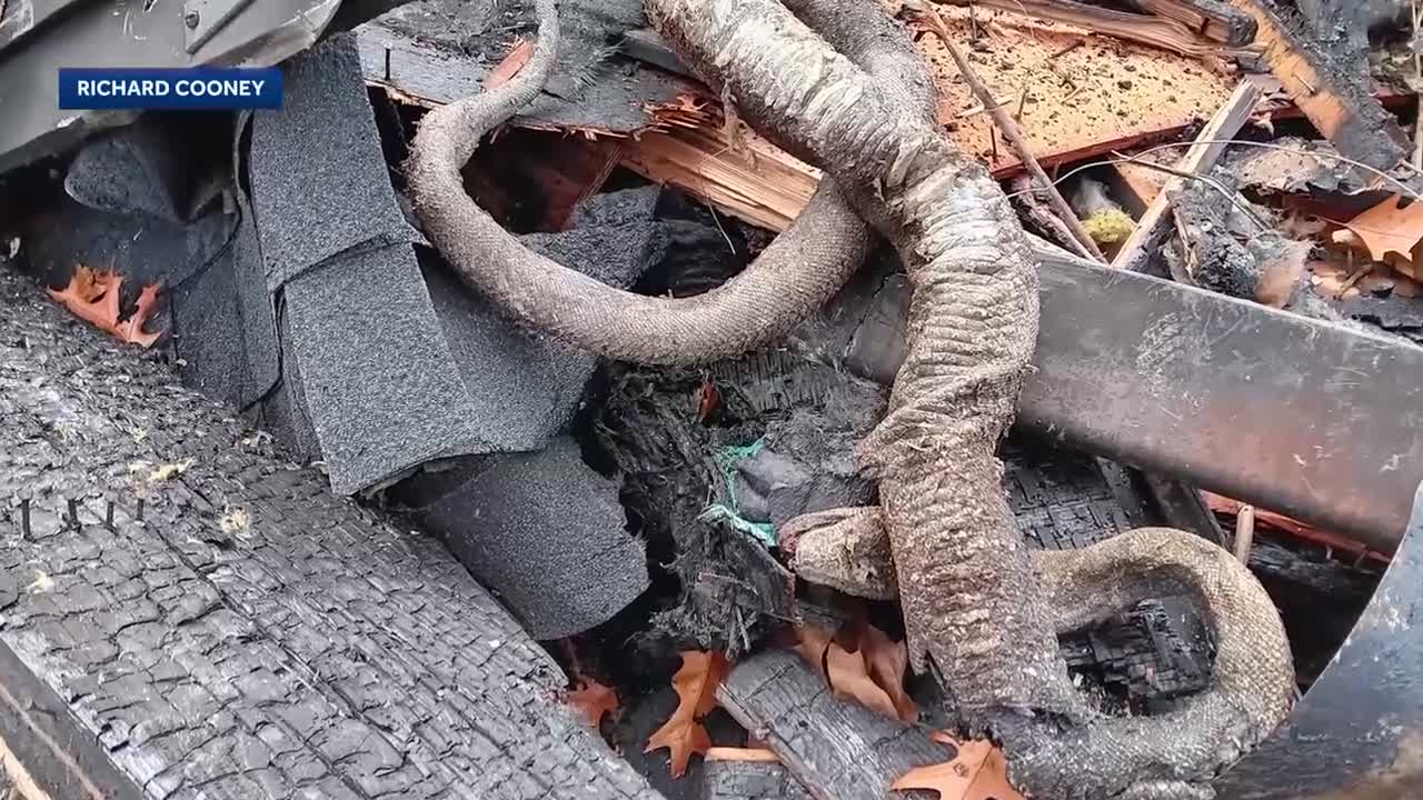 17653fcf-c70f-4bf8-abce-af6fb76a20d9-05c004556ada493fbd1f8497ccc8f76f