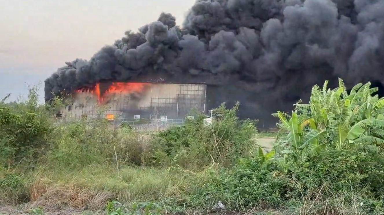 cut-1763113392-icxYe8p