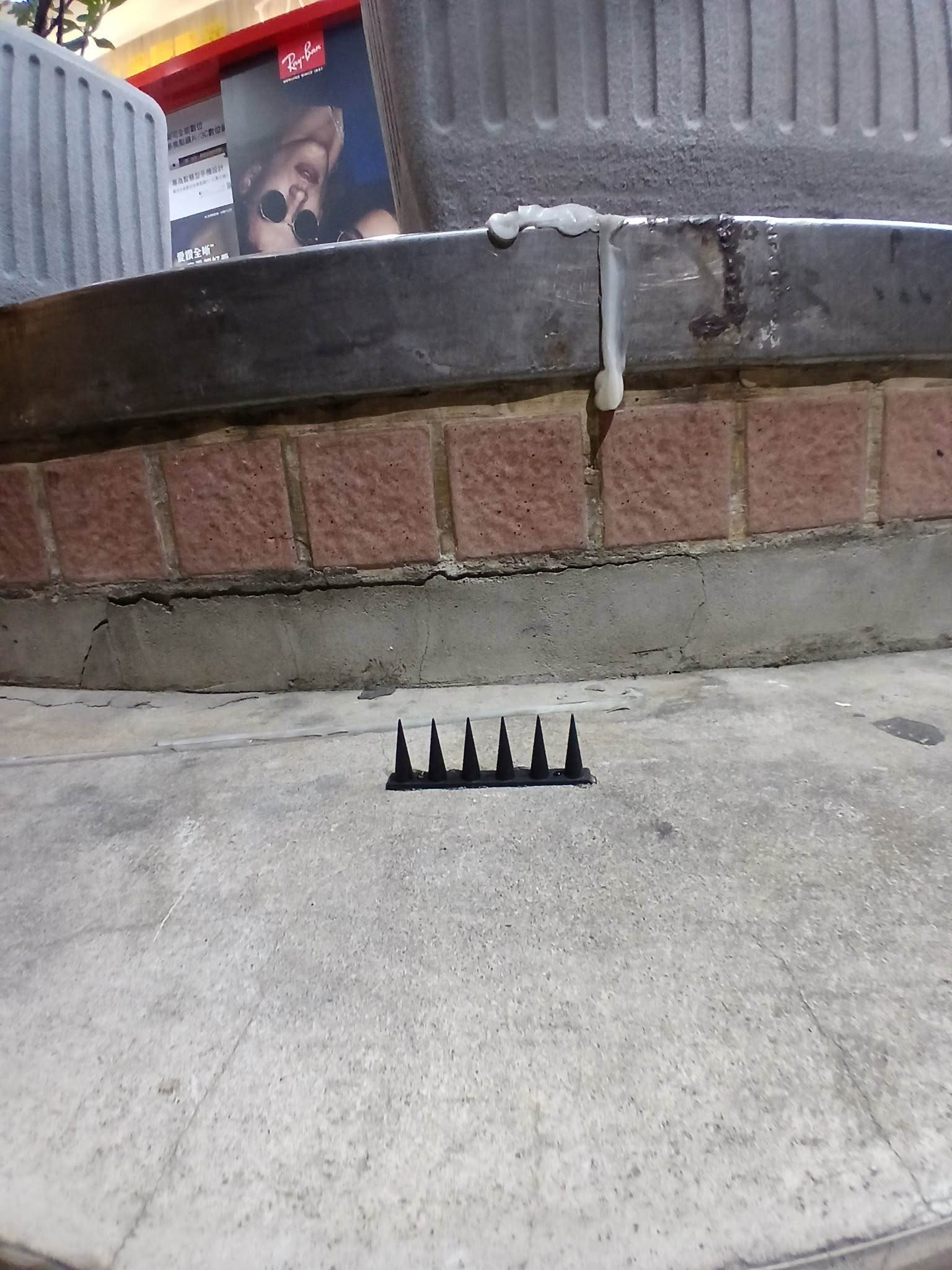 578663840_25255393474055192_894088365589755096_n_0