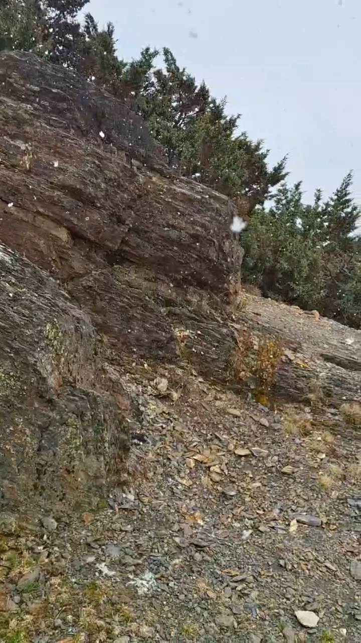 848807CA1603EBDDA8F3D5EFA604F7D636E69A73(1).mp4_snapshot_00.00.172