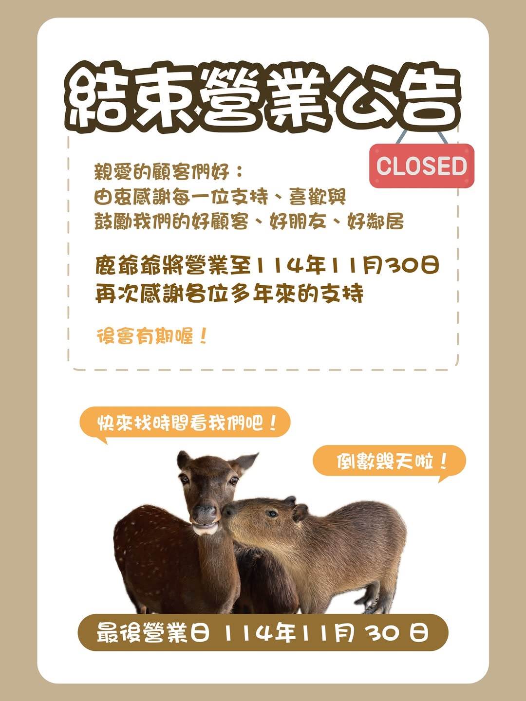 SaveClip.App_582735043_17904150117289472_1512034818224882746_n