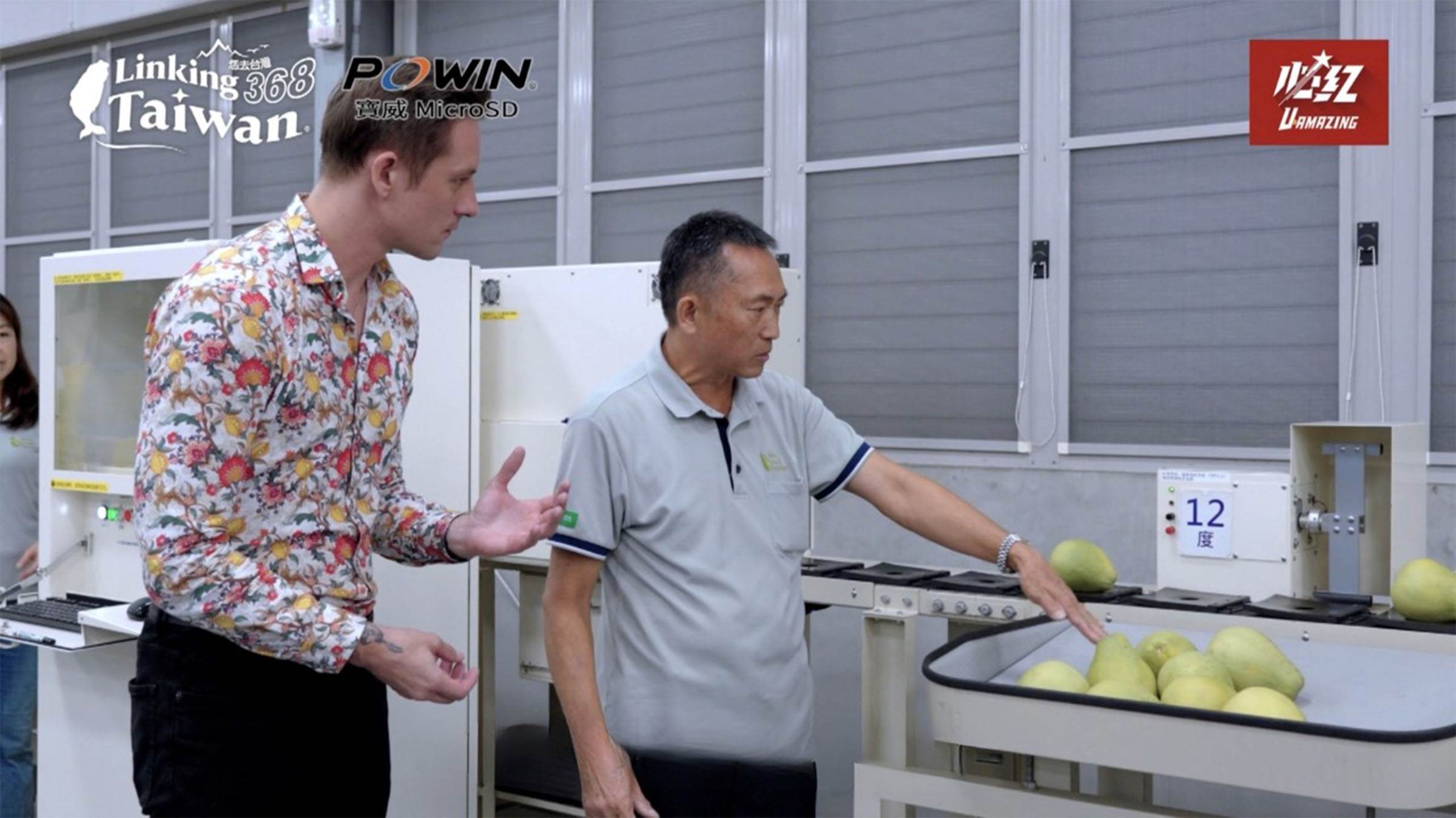 加工廠使用無破壞式紅外線糖度檢測器進行自動分級，而次級品則透過再加工轉化為清潔用品等，充分利用不浪費！（圖／《Linking 368 Taiwan恁去台灣》提供）