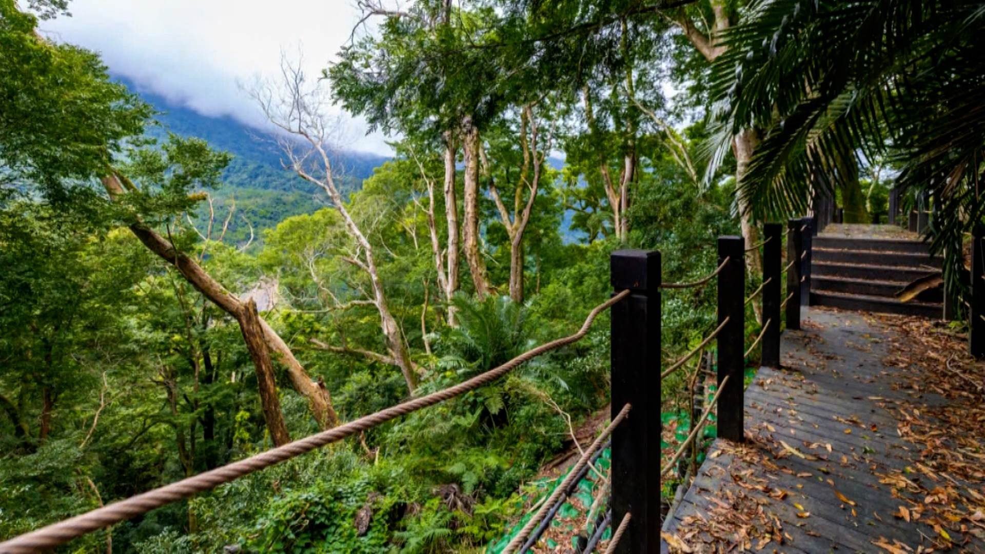 序列 18.00_02_28_00.Still010