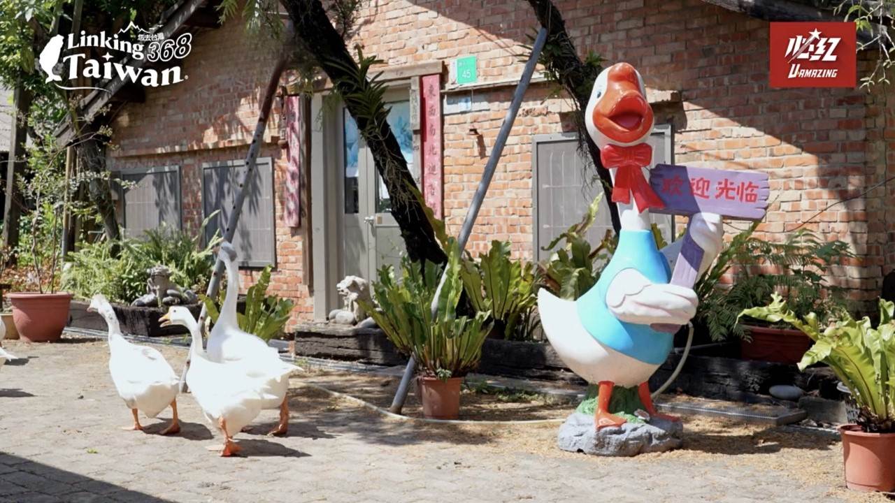 白鵝農村教室最大的特色就是讓大家和白鵝零距離互動。（圖／Linking368Taiwan提供）