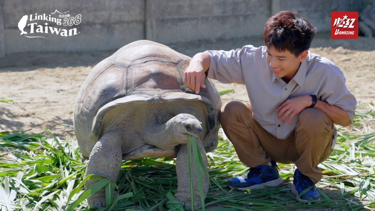 威登和亞達伯拉象龜相處，我們學會了放慢步調，體會生命與環境的共生智慧。（圖／Linking368Taiwan提供）