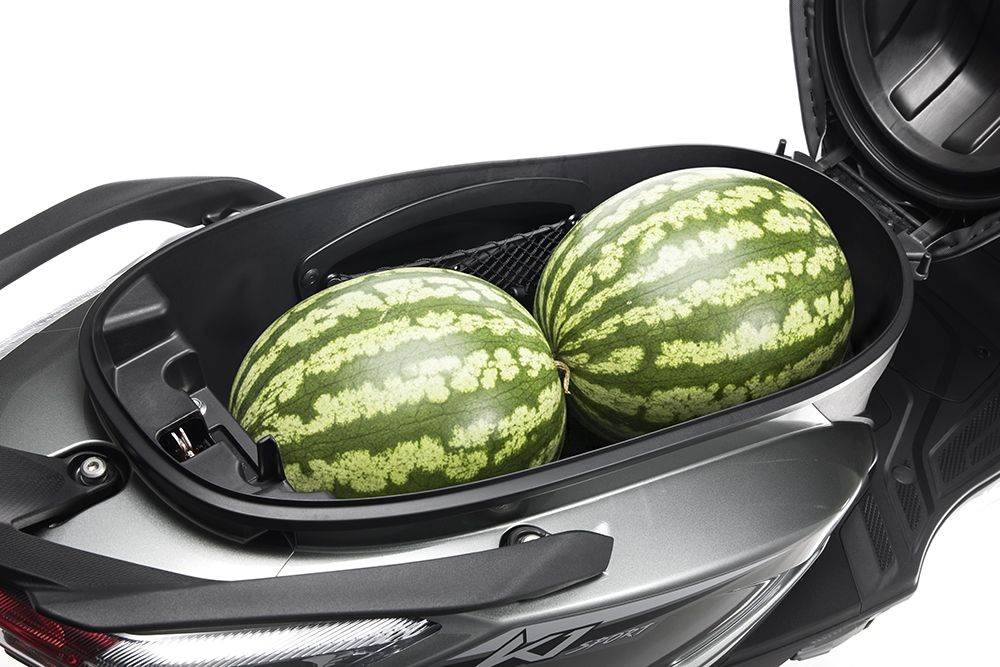 車廂置物空間提供38.6公升的容量，能同時放入兩頂3/4安全帽，且有置物百寶袋，可以整齊收納零碎的小物品。（圖／KYMCO提供）