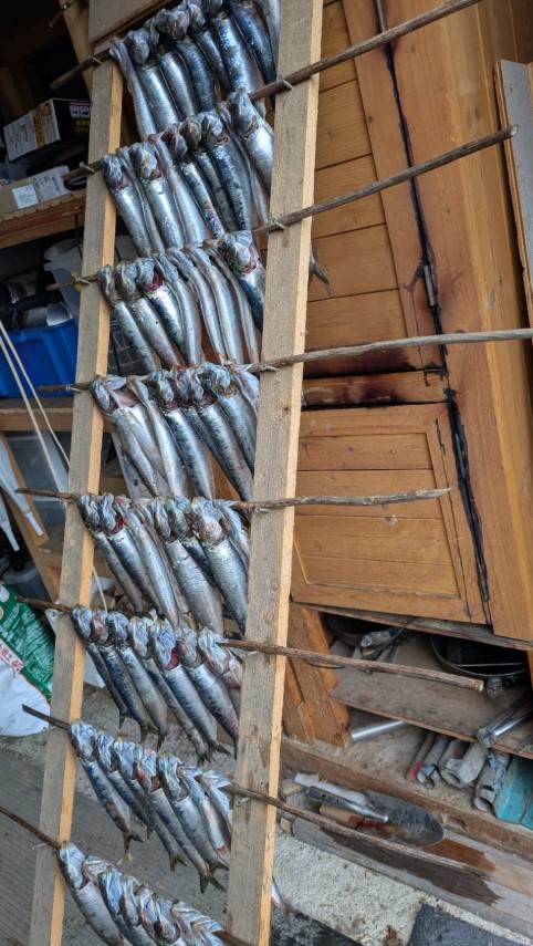 註解 2025-12-11 100141