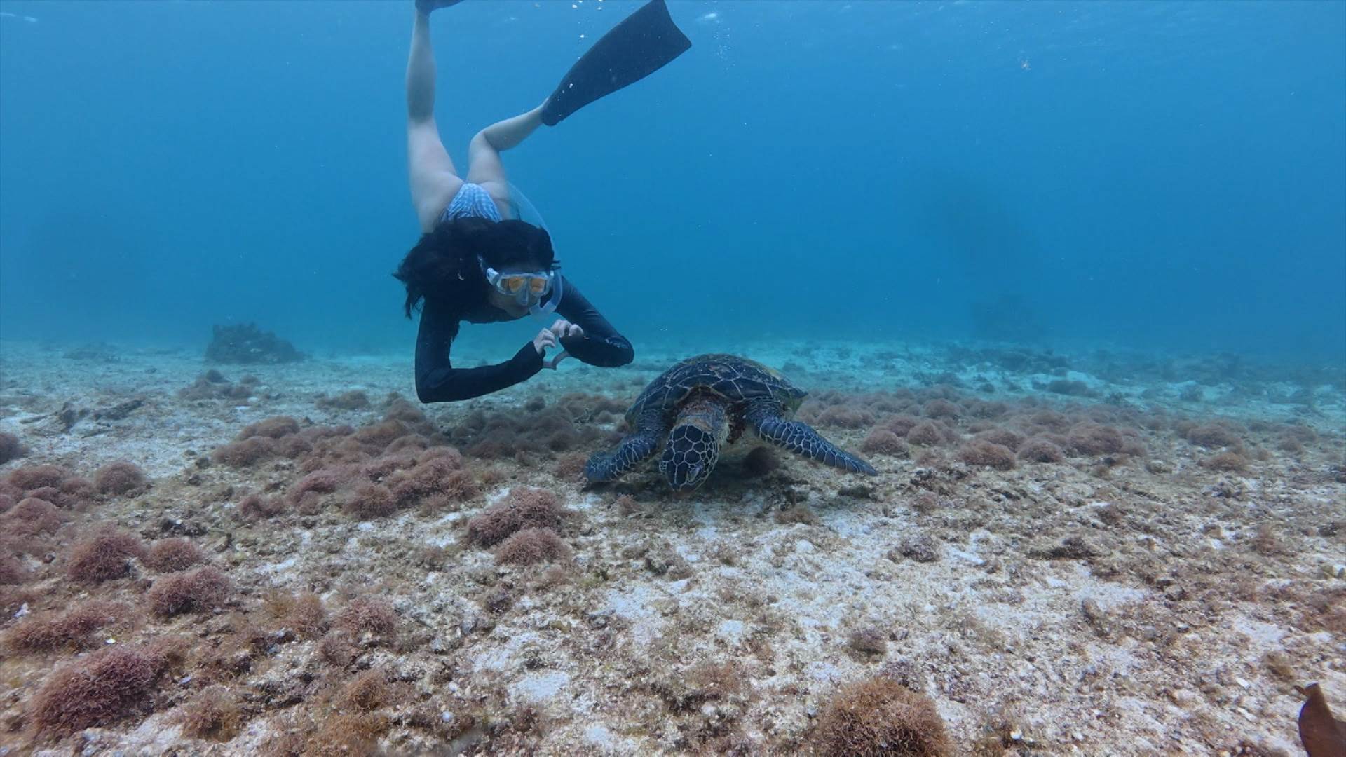 序列 18.00_00_37_23.Still012